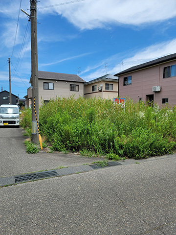 庭や空き地などの草刈り