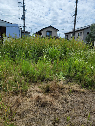 庭や空き地などの草刈り